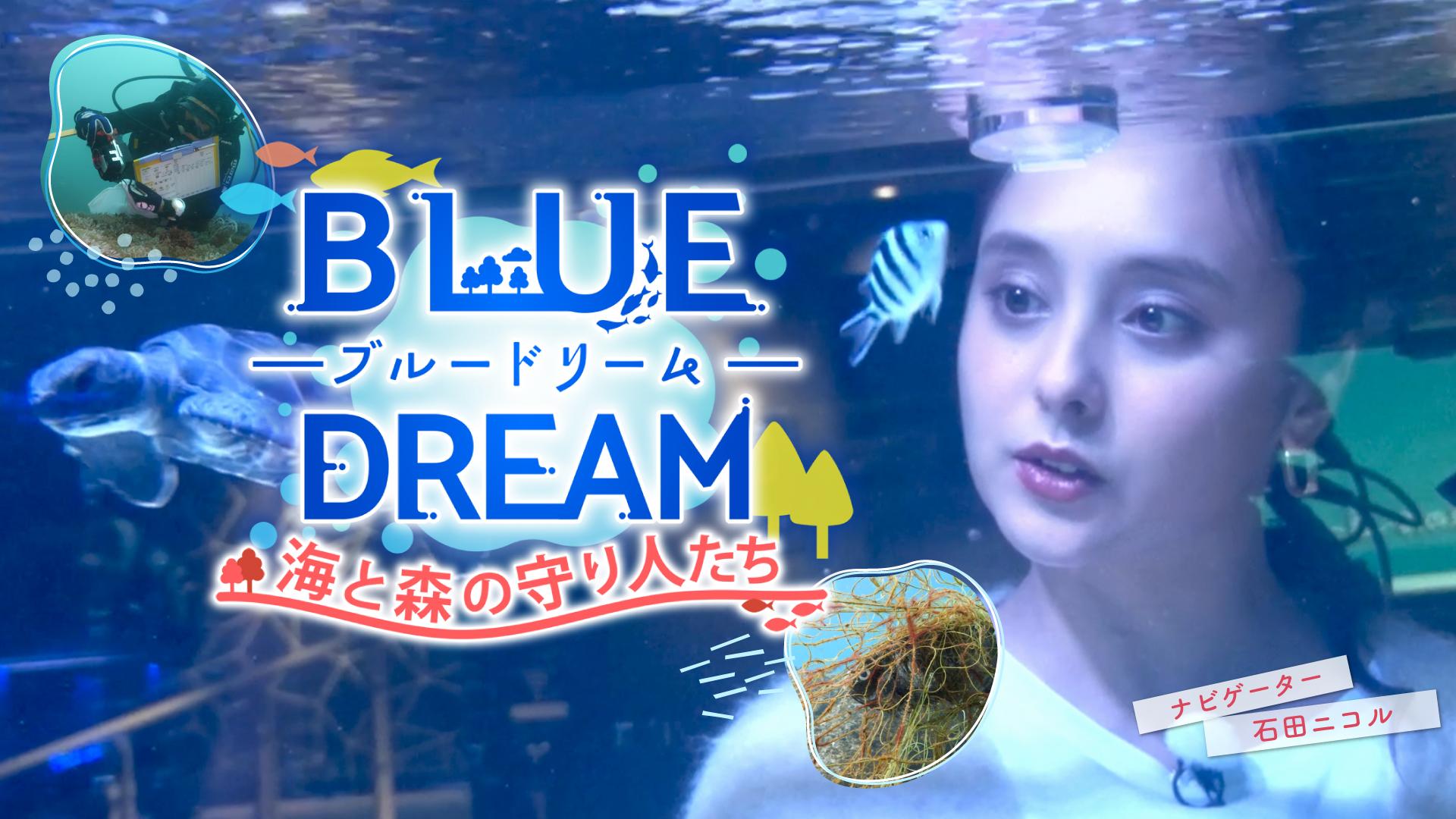 ブルードリーム 海と森の守り人たち(テレ東、2025/9/15 12:00 OA)の