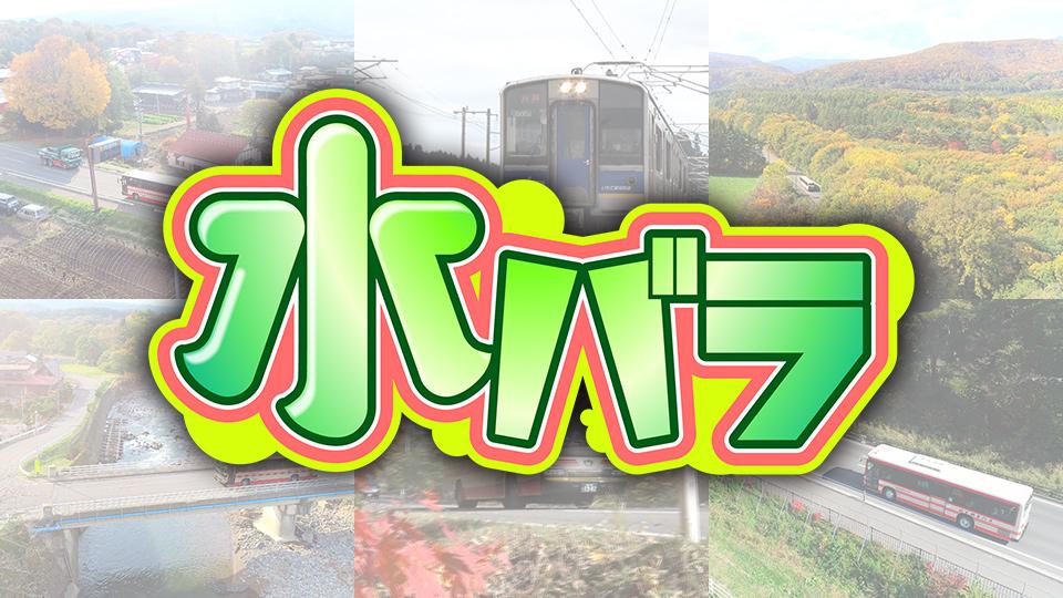 水バラ【１歩１円ウォーキング対決旅】初夏の関東縦断２００ｋｍ 館山