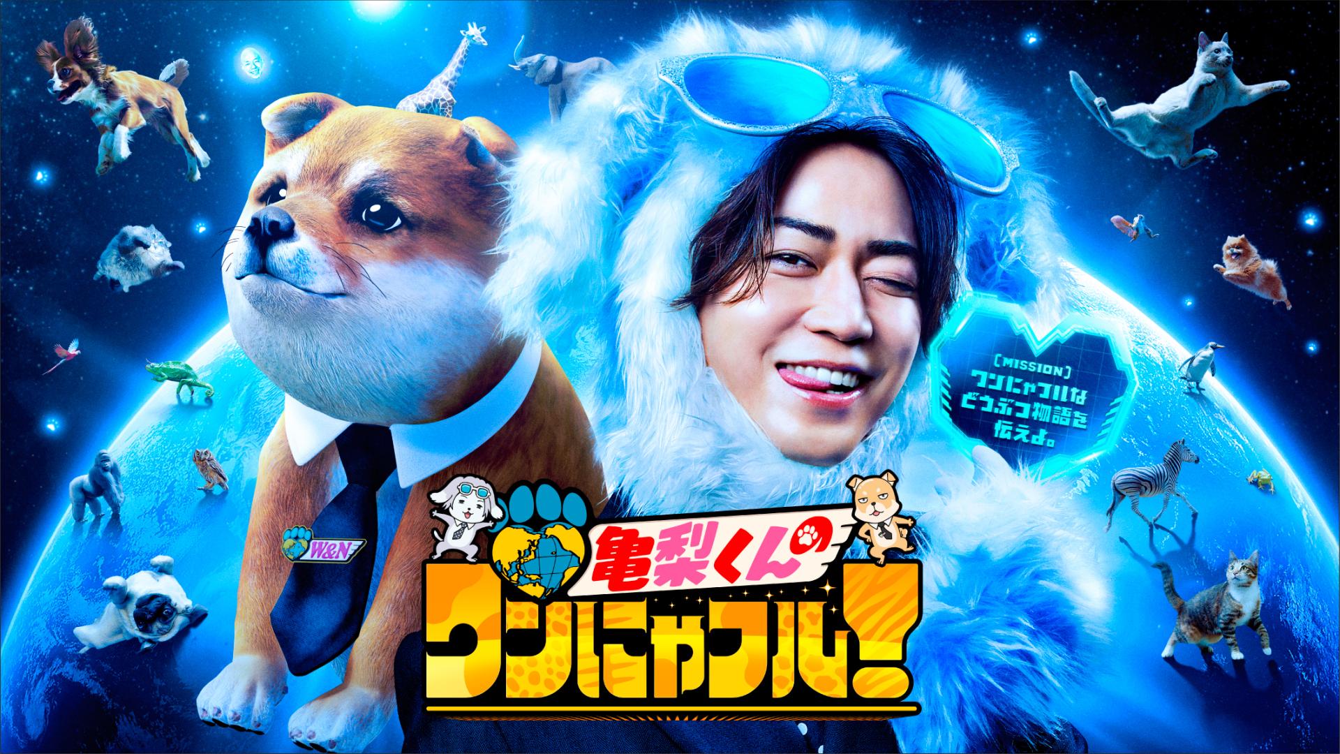 ワンにゃフル物語【大型犬7匹!?5000万円ウルフドッグハウス＆あさま