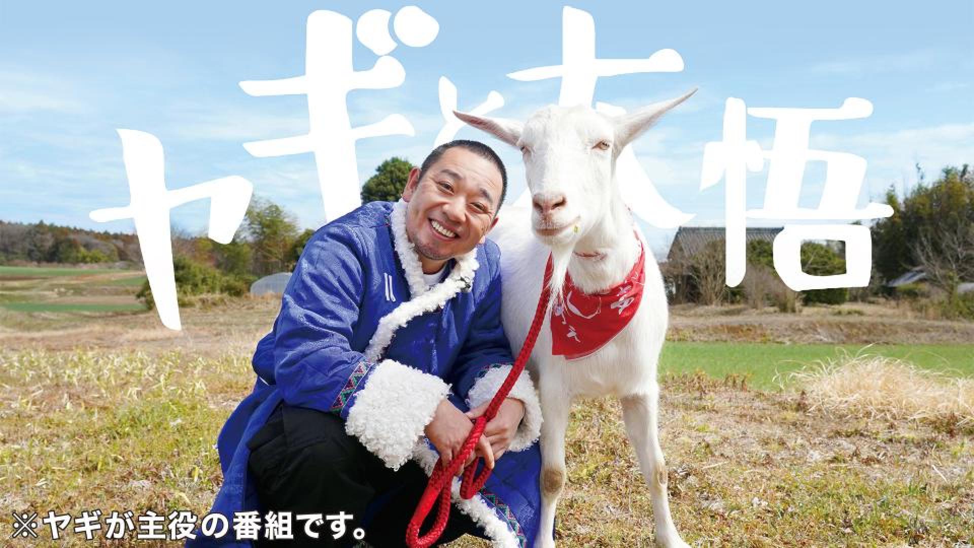 fe177ace731b100c4f17e5522b65.