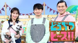 どうぶつピース!!