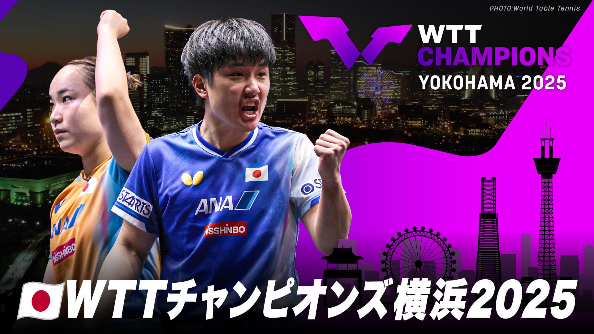 テレビ卓球 vp-310264_zx-large_fl.jpg