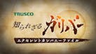 知られざるガリバー～エクセレントカンパニーファイル～