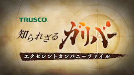 知られざるガリバー～エクセレントカンパニーファイル～[字][多][解]