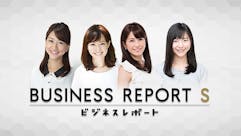 ビジネスレポートS