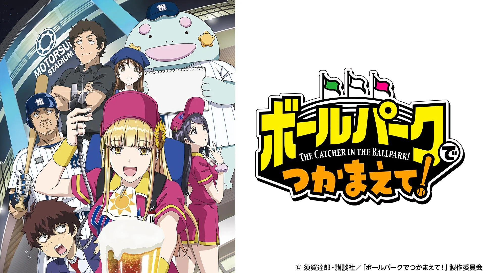 ボールパークでつかまえて！第12話(テレ東、2025/6/17 24:00 OA)の番組 