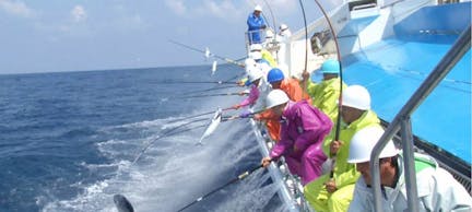 ニッポンのスゴ腕漁師２０１８ 夏命がけで狂暴魚に挑む高島礼子も惚れた豪快漁師 テレビ東京 18 6 11 21 00 Oa の番組情報ページ テレビ東京 ｂｓテレ東 7ch 公式