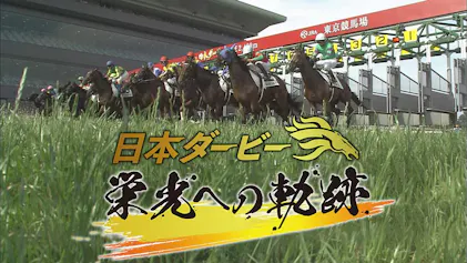 日本ダービー 栄光への軌跡のサムネイル画像