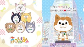 まついぬ＆SHIBUYA♡HACHI