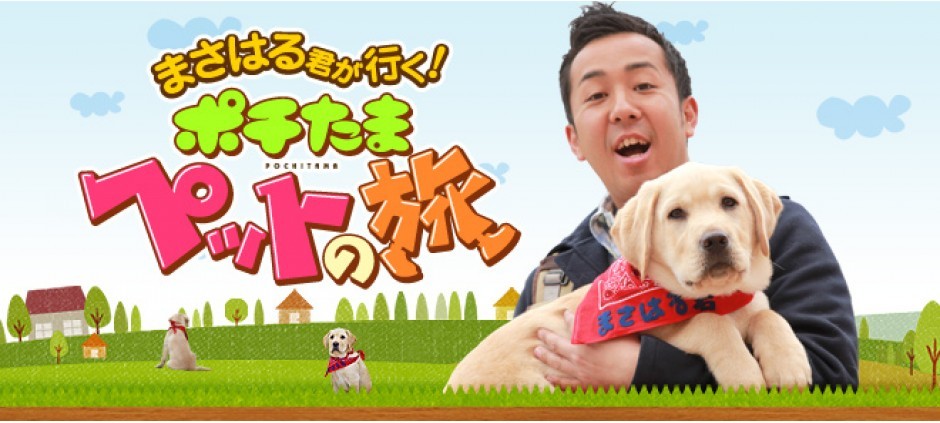 スペシャル！傑作選 ポチたまペットの旅 まさお君傑作選(テレ東、2012