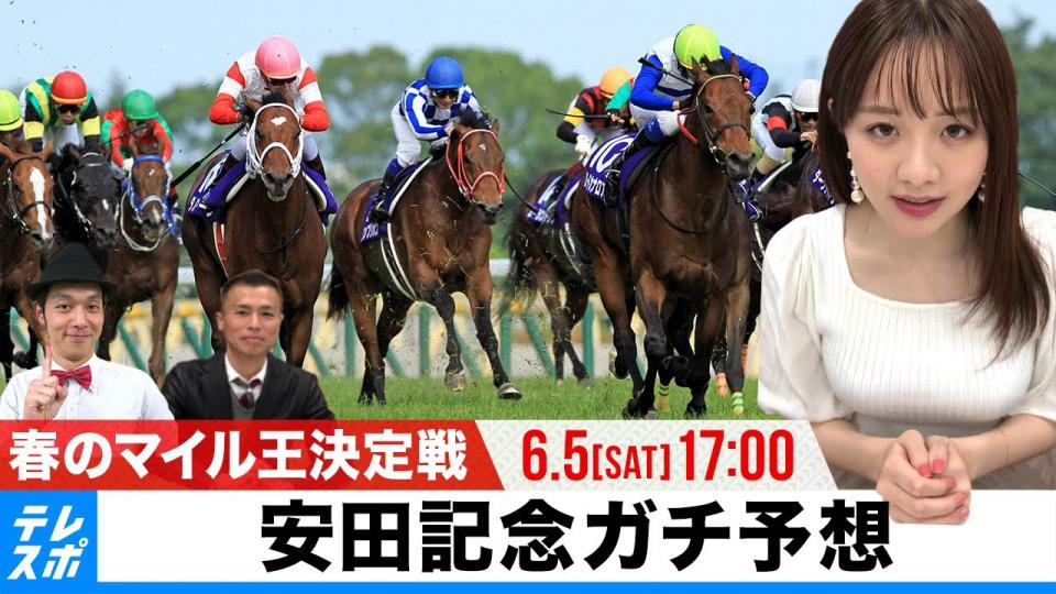 タイキブリザード第47回安田記念優勝-rugcleanerct.com