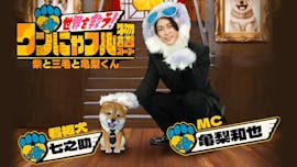 世界を救う！ワンにゃフル物語 ～柴と三毛と亀梨くん～