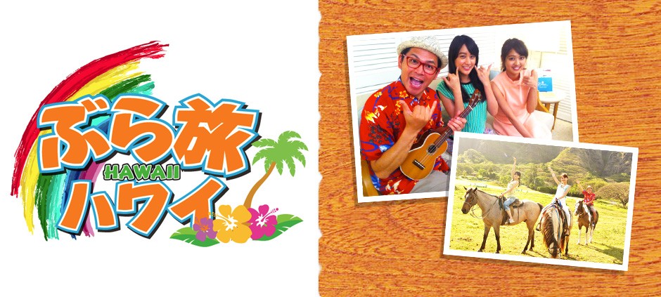 a7f10f5dc9c2398527fafac66019.