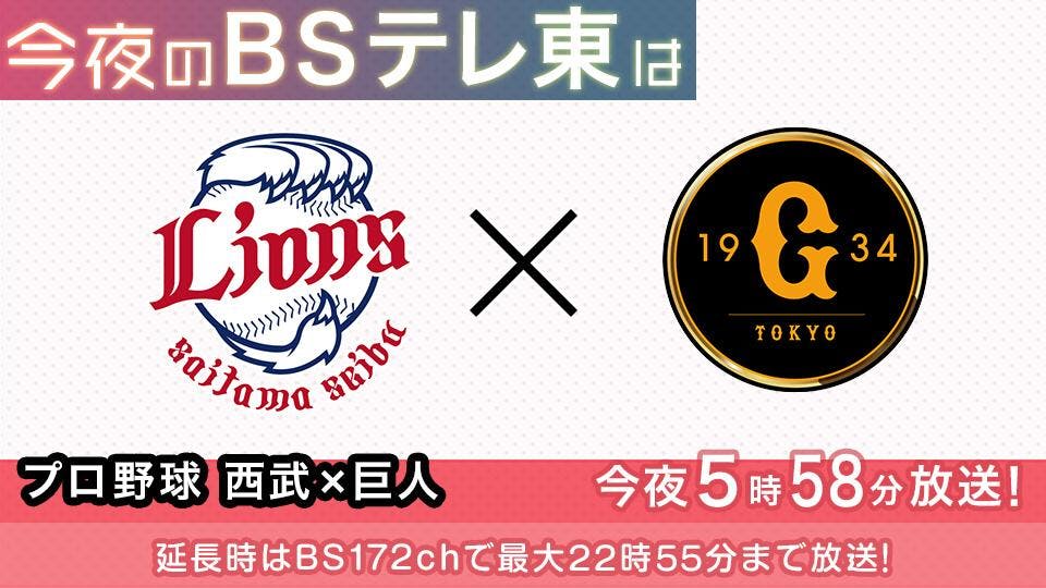 ダンロップ 普及水枕コンパクト 4021