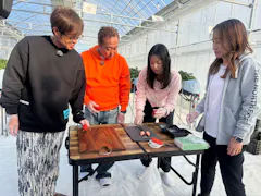 モヤモヤさまぁ～ずＳＤＧｓ