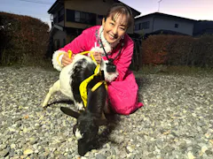 ヤギと大悟