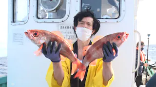 日ビ　秒で寿司