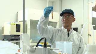 ガイアの夜明け