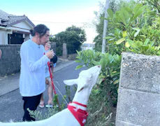 ヤギと大悟