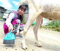 ヤギと大悟