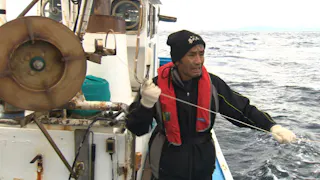 新マグロに賭けた男たち