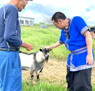 ヤギと大悟