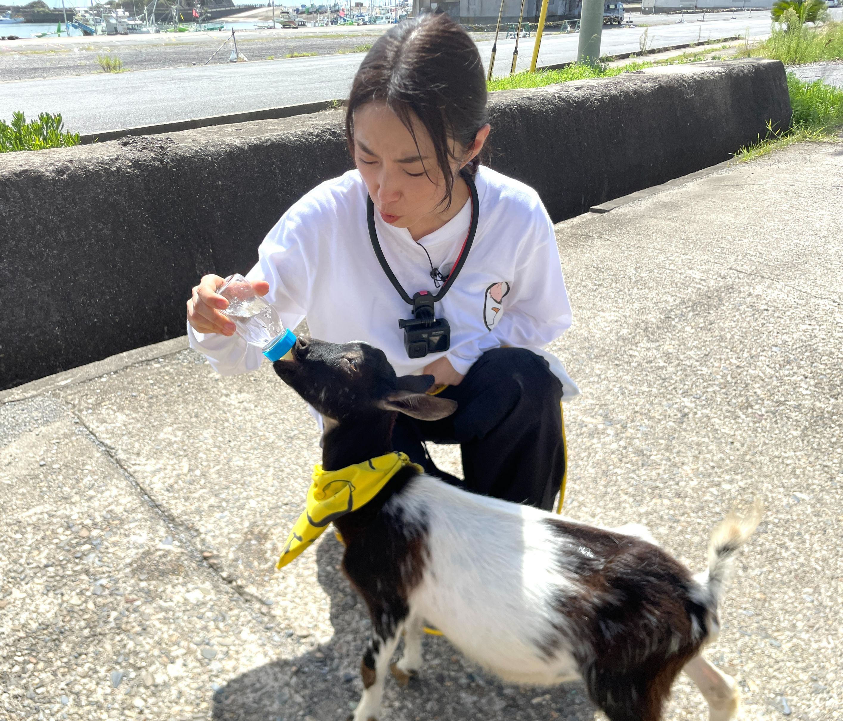 ヤギと大悟 番組主題歌を歌うウルフルズ・トータス松本が登場！(テレ東