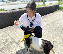 ヤギと大悟