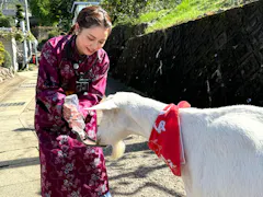 ヤギと大悟