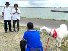ヤギと大悟