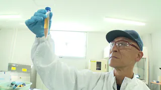 ガイアの夜明け