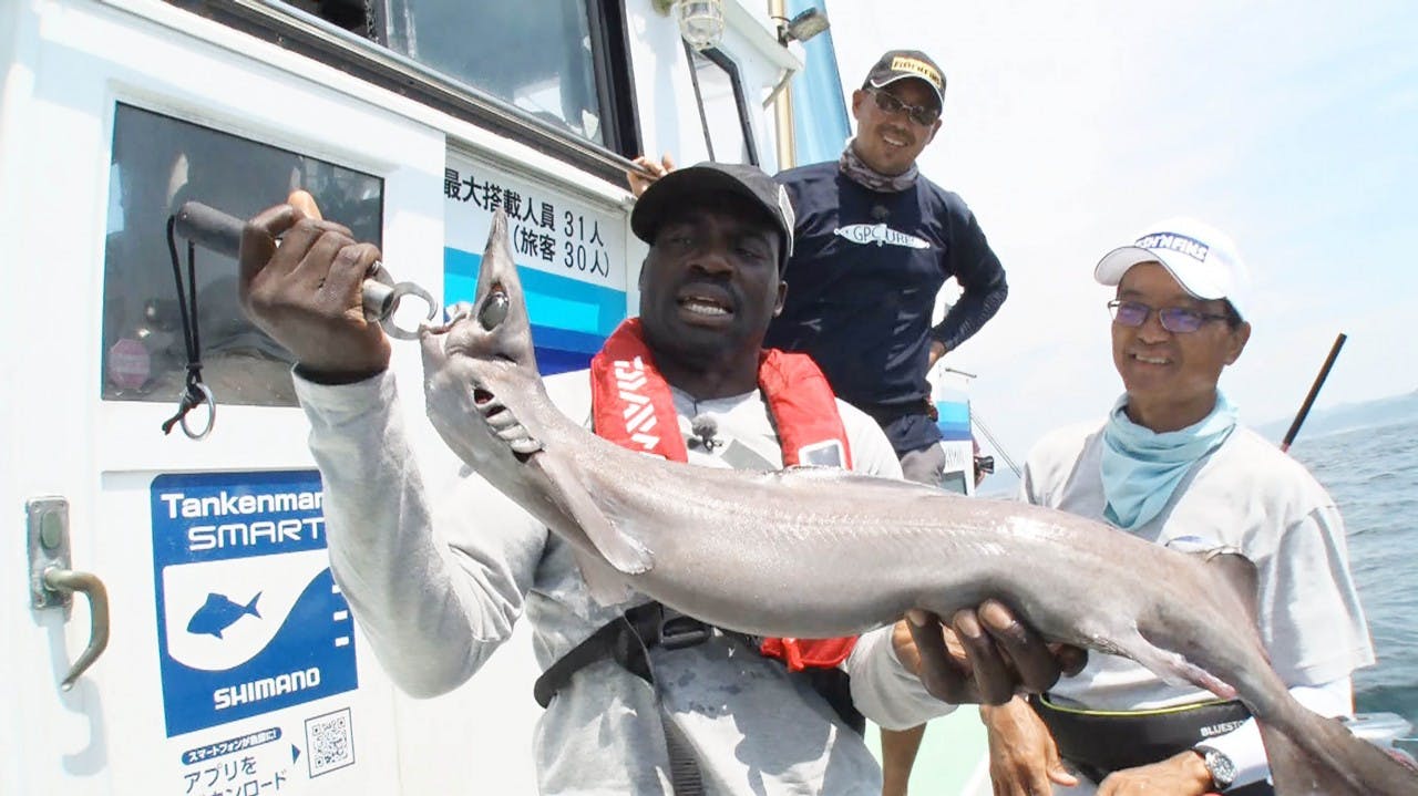 日曜ビッグ 東京湾大調査 お魚ぜんぶ獲ってみた 深海500mカメラ仕掛けたら テレビ東京 17 9 17 19 54 Oa の番組情報ページ テレビ東京 bsテレ東 7ch 公式 日曜ビッグ 東京湾大調査 お魚ぜんぶ獲ってみた 深海500mカメラ仕掛けたら テレビ東京 17 9 17 19 54 Oa の番組情報ページ テレビ東京 bsテレ東 7ch 公式