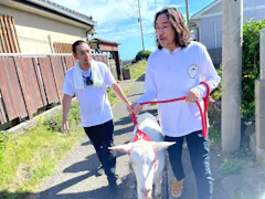 ヤギと大悟