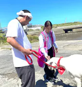 ヤギと大悟
