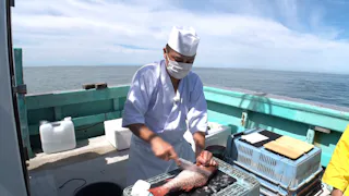 日ビ　秒で寿司