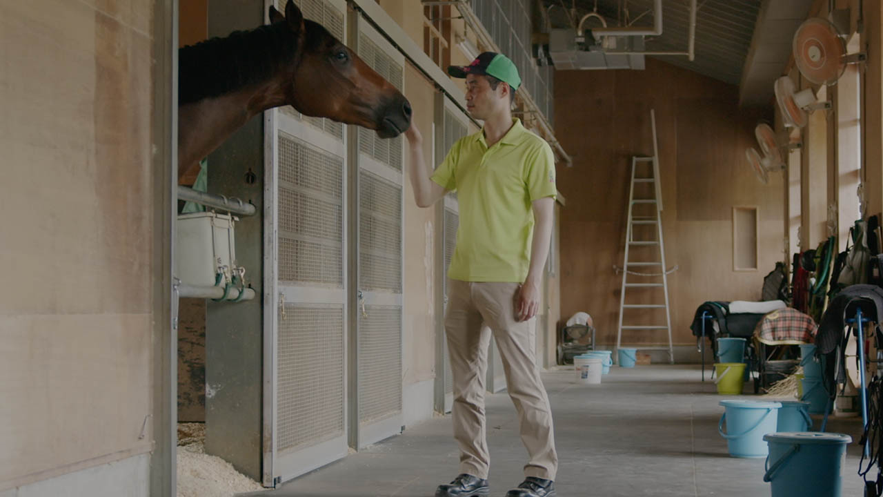 サラブレッドとみる夢 | テレ東・BSテレ東 7ch(公式)