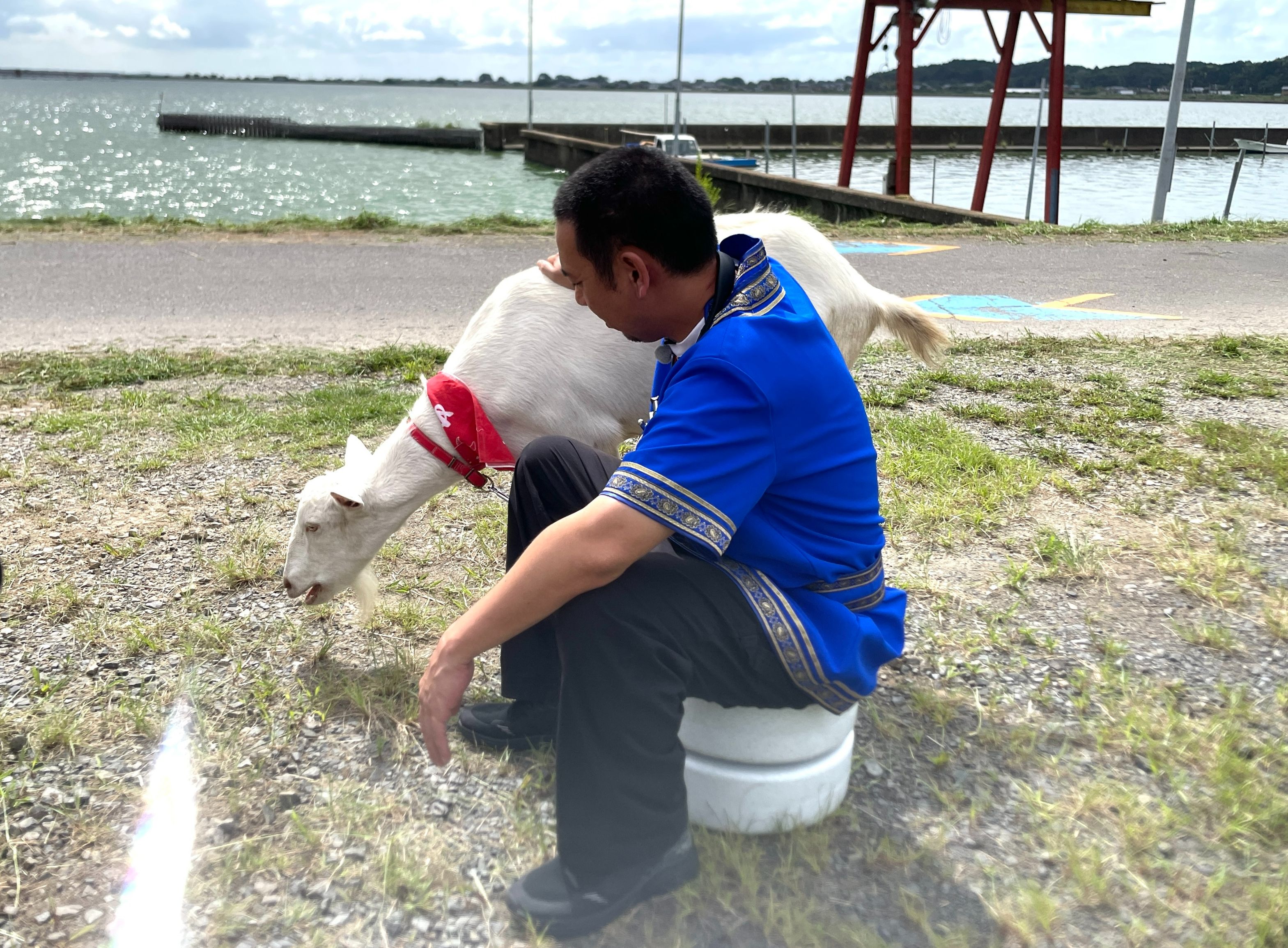 ヤギと大悟 初の湖！茨城県かすみがうら編スタート！番組グッズ発売