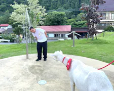 ヤギと大悟