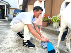 ヤギと大悟