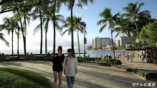 「コジハルタビ」　AKB小嶋陽菜が大親友・峯岸みなみとハワイで卒業旅行！