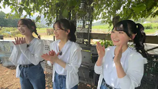 ＡＫＢ４８が突撃！お宅で１番のＤＸなんですか？