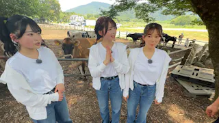 ＡＫＢ４８が突撃！お宅で１番のＤＸなんですか？