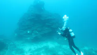 ＴＨＥ無人島
