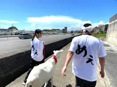 ヤギと大悟