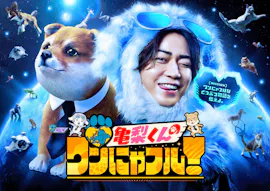 亀梨くんのワンにゃフル★激かわ９匹！チャウチャウ大家族&猫４５０匹保護・高校生[字]