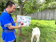 ヤギと大悟
