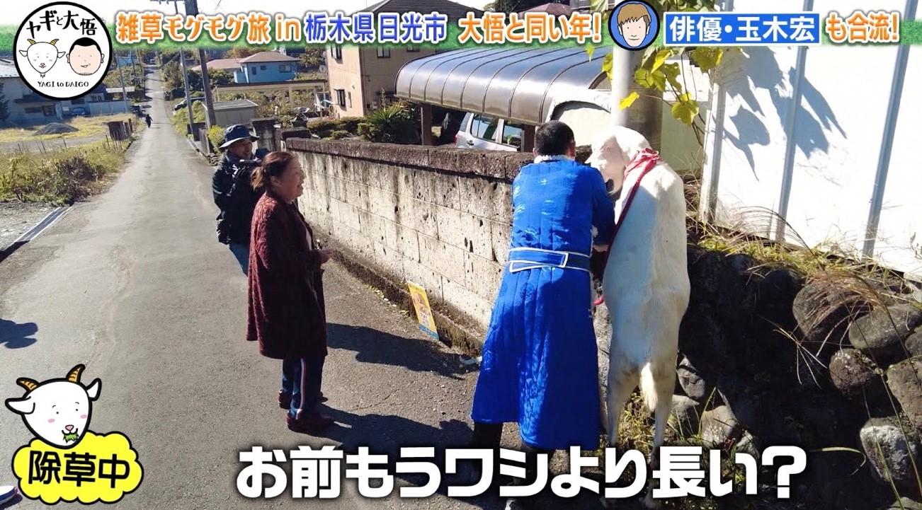 玉木宏がヤギとお散歩！？モンゴル衣装に身を包み、千鳥・大悟「笑うて