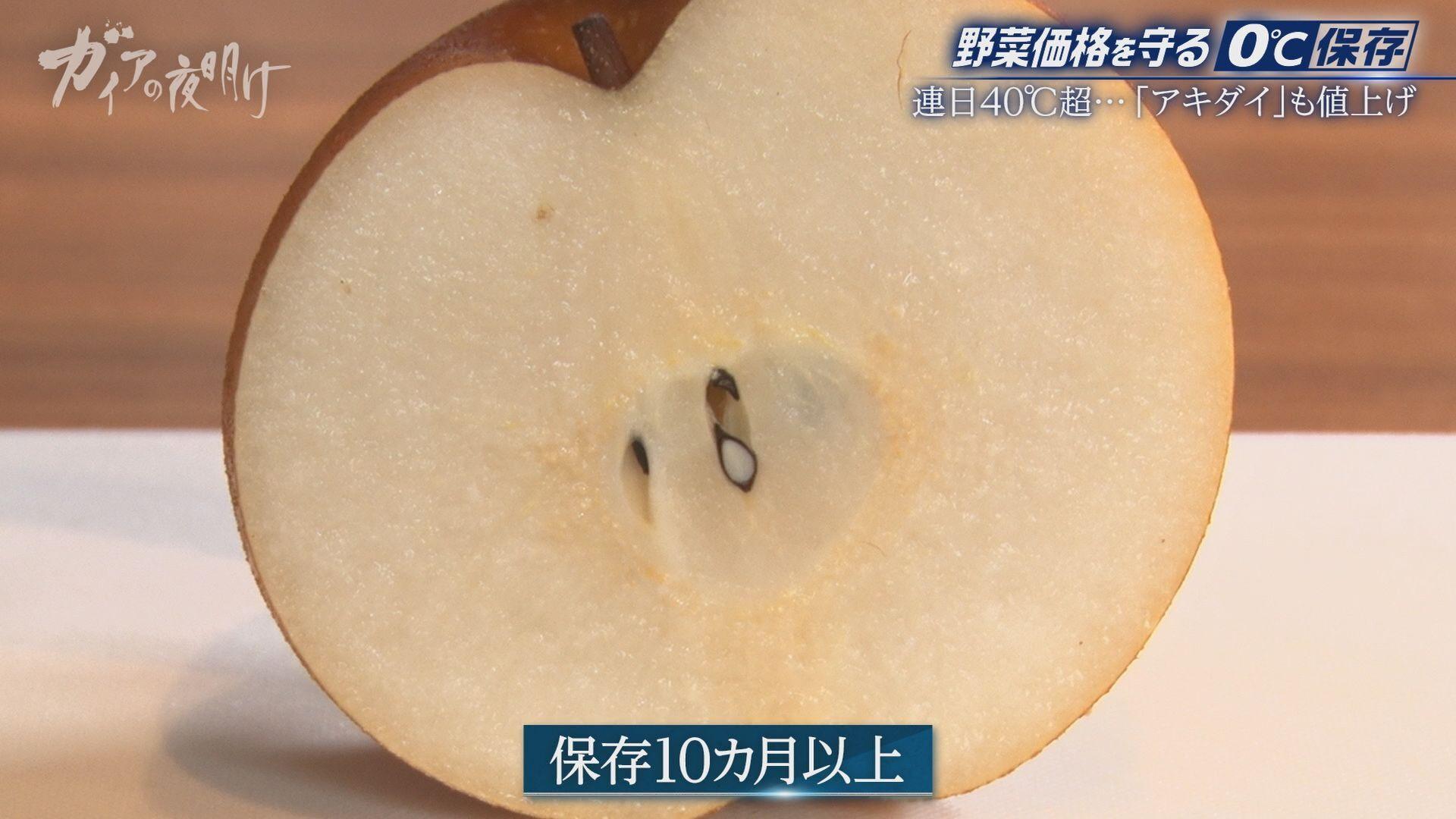 キュウリやトマト…夏野菜が高騰！農家を救う「0℃保存」新冷蔵技術とは