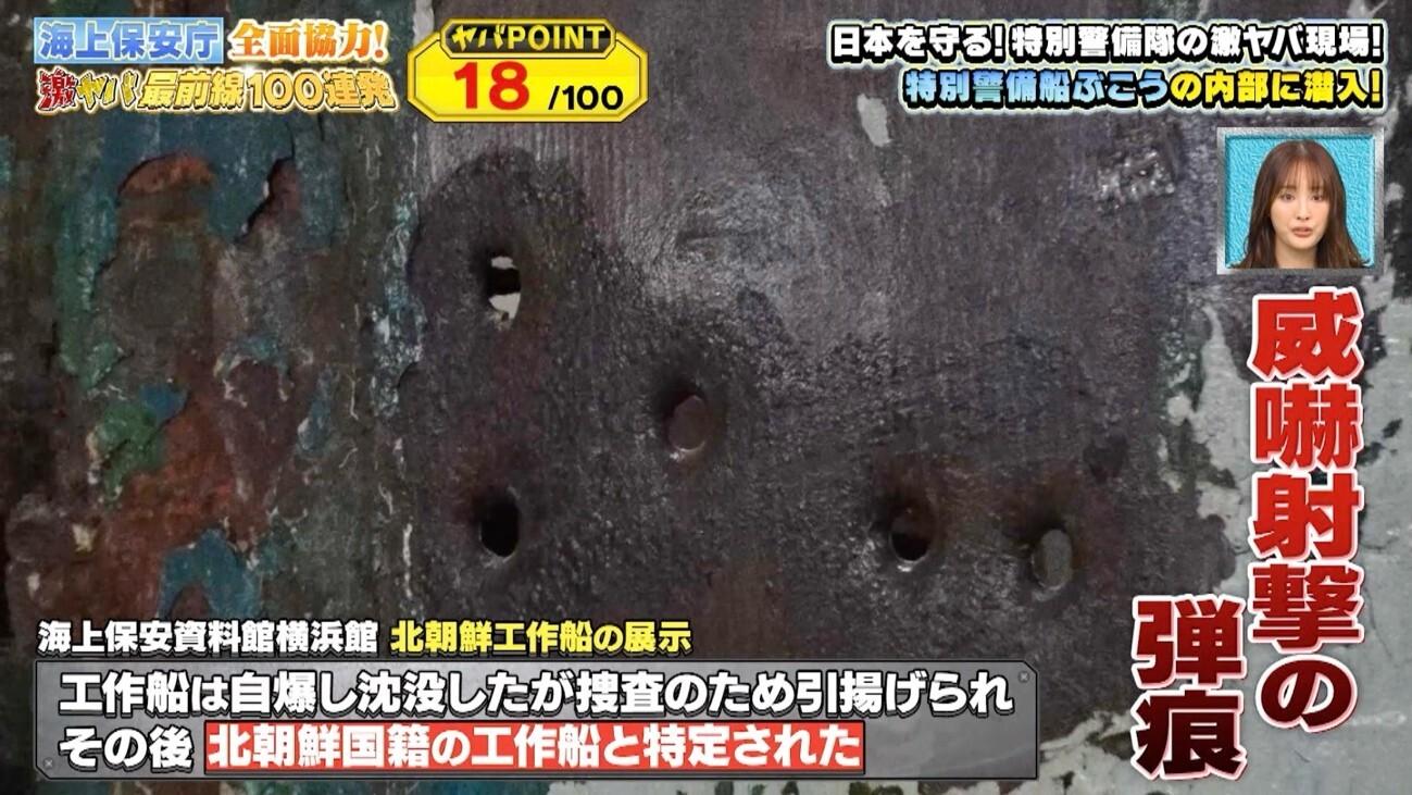 テロリストを素手で制圧！＜海上保安庁＞最強武闘派集団「特警隊」に初