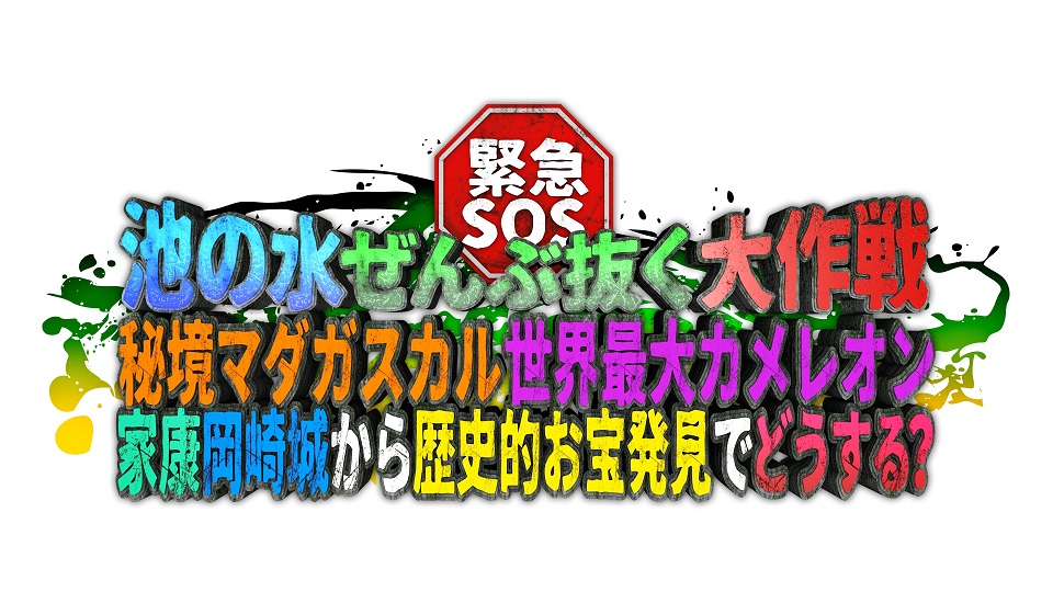 読者プレゼント ジャニーズ レア - アイドルグッズ